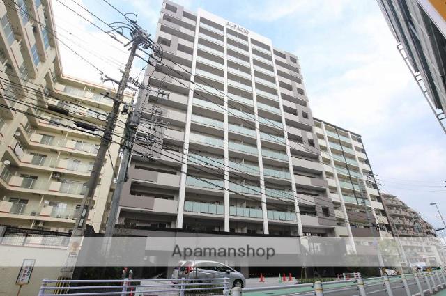 ALFACIO サウス FONTE