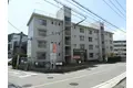 金子アベニュー