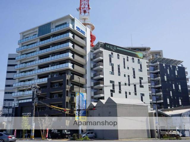 ニューガイア天神北