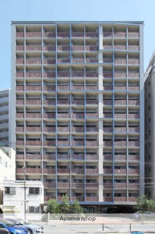 サヴォイ テンジンスクワイヤー