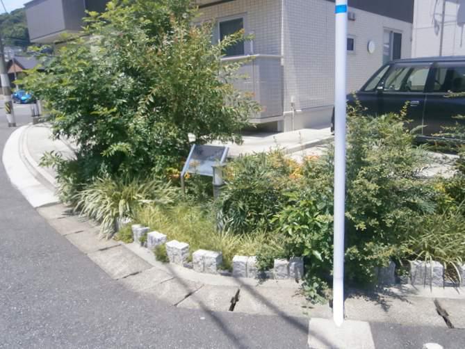 ベルクフェルト