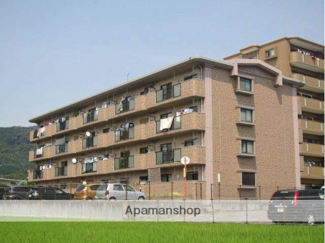 ステータス国分