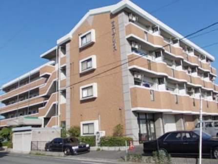 サニープレイス