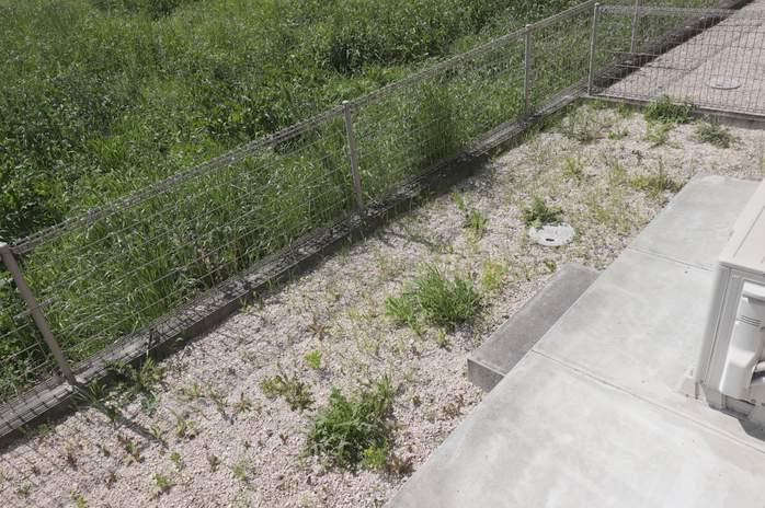 ペールドルーチェⅡ