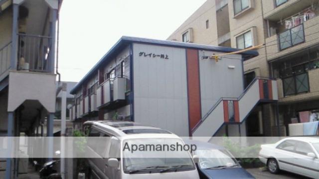 グレイシー井上