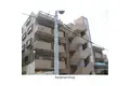 サンセベリア高宮