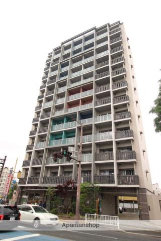 サヴォイ ザ・ブルネット