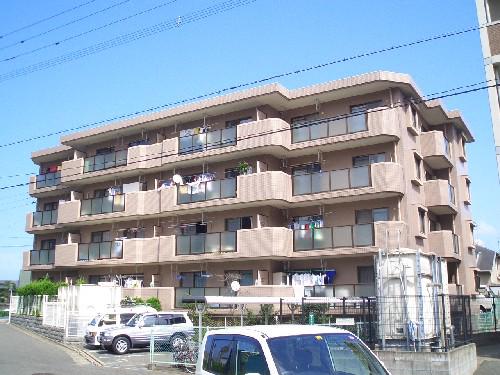 ルミナス城南