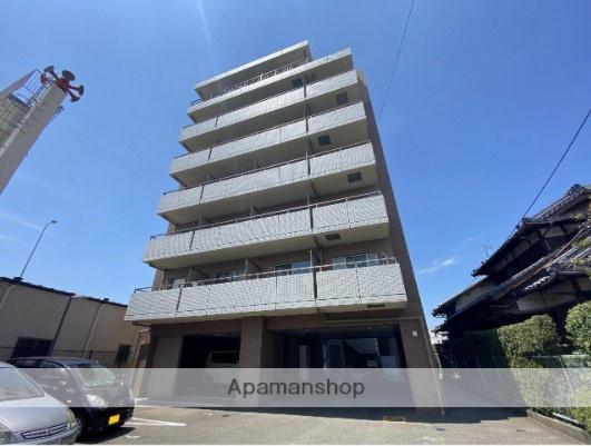 アマルフィーいずみ