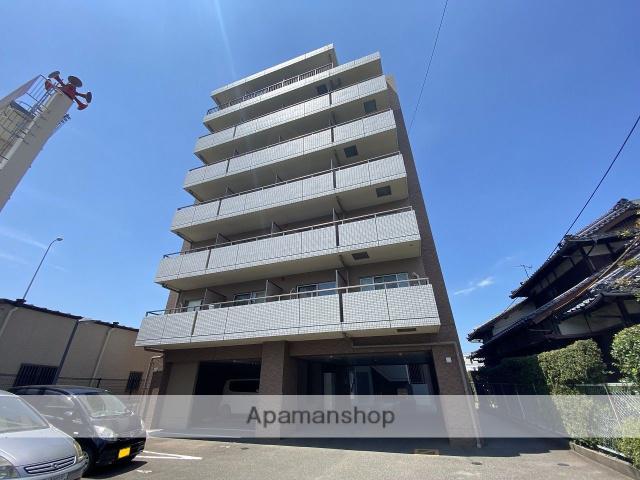 アマルフィーいずみ