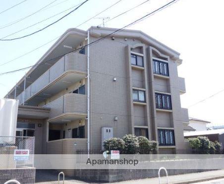 イリス花がすみ