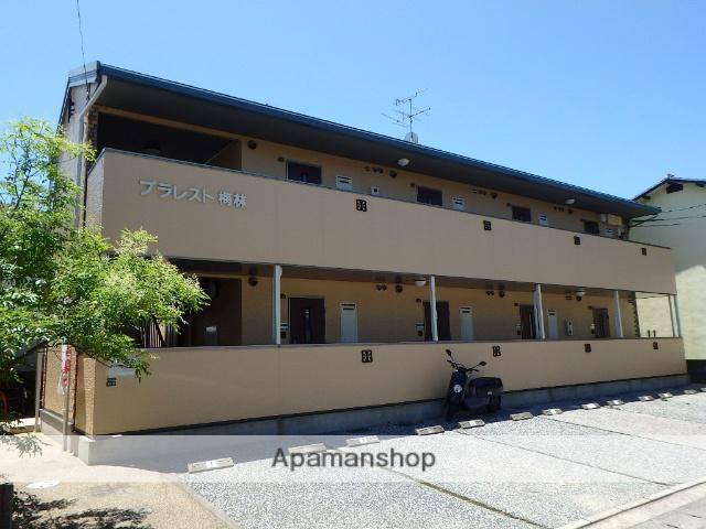 プラレスト梅林