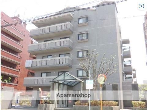 コンチェルト長尾