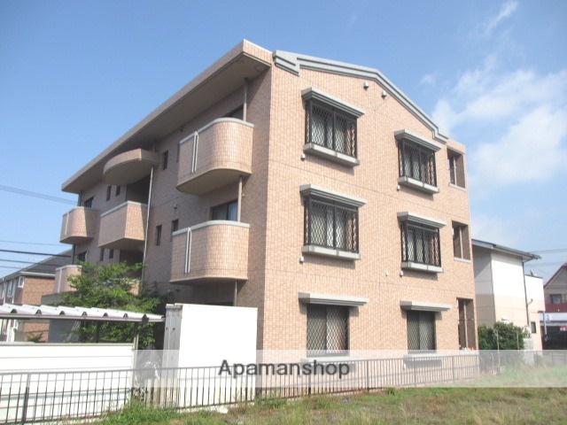 ヴィーナスコート