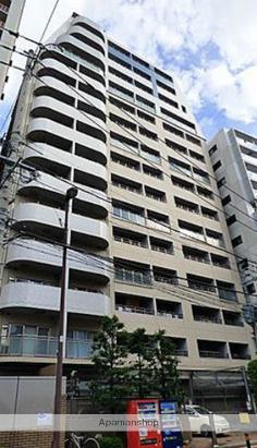 サヴォイ テンジン クォーター