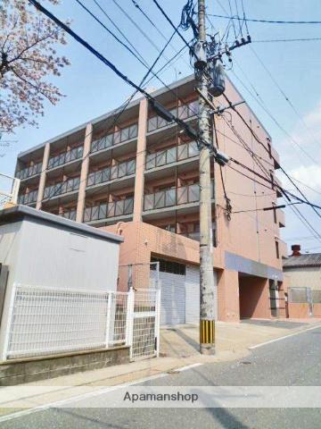 バニヤンツリー野芥