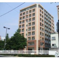 サヴォイバンヤンツリー