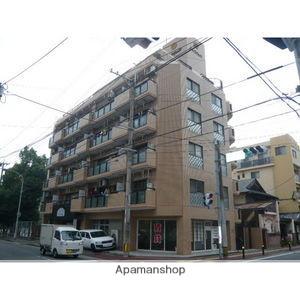 ダブルーンⅦ白金