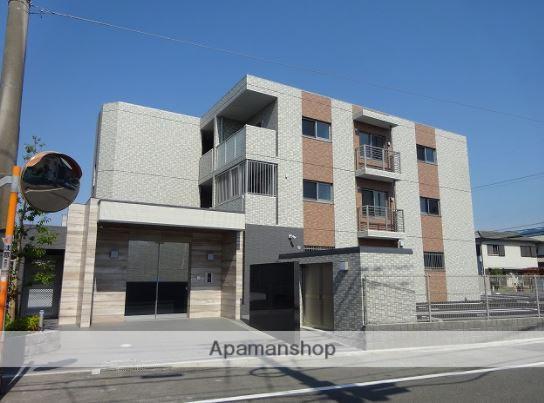 グレイスコート