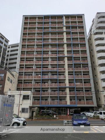 サヴォイ テンジンスクワイヤー