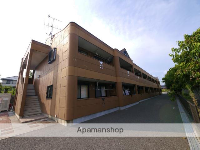 レインボーサンリッチ1