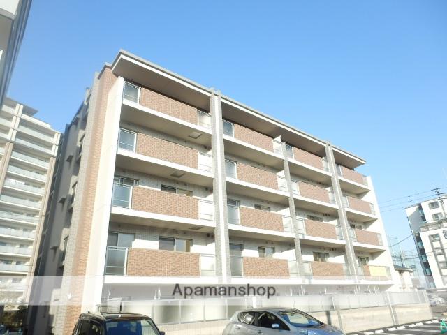 アムールサイト