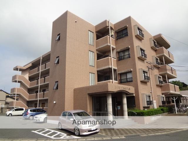 ライフステージY&M