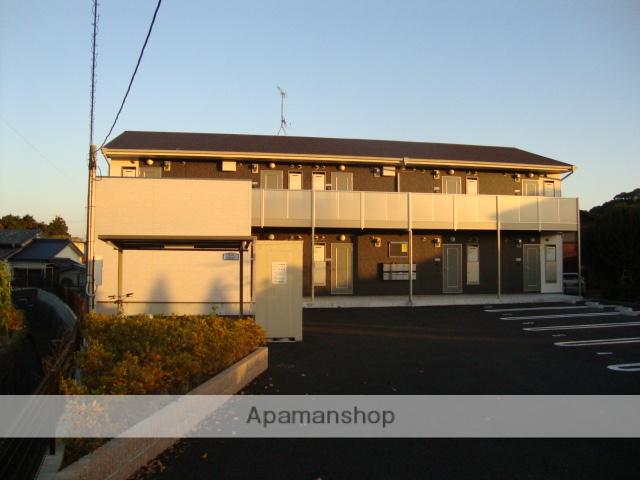 アムールサガン