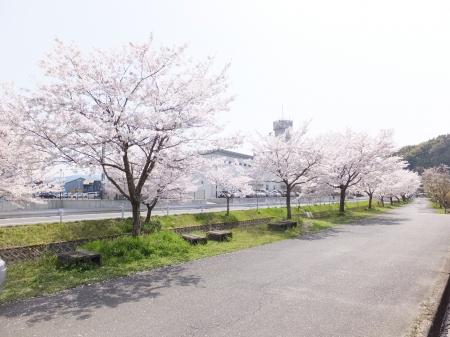 プレミアム26番館[1階]