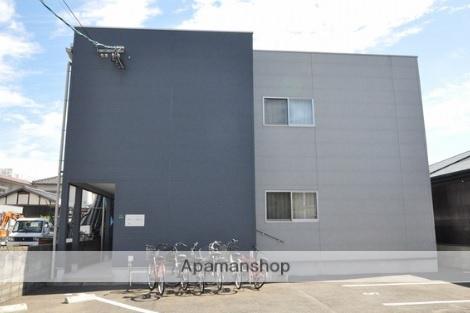 ルイズ・アモーレ