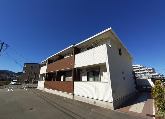 サウス・バイオレット