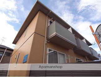 アンリシールラビット