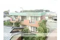インポート久留米ルビーⅡ