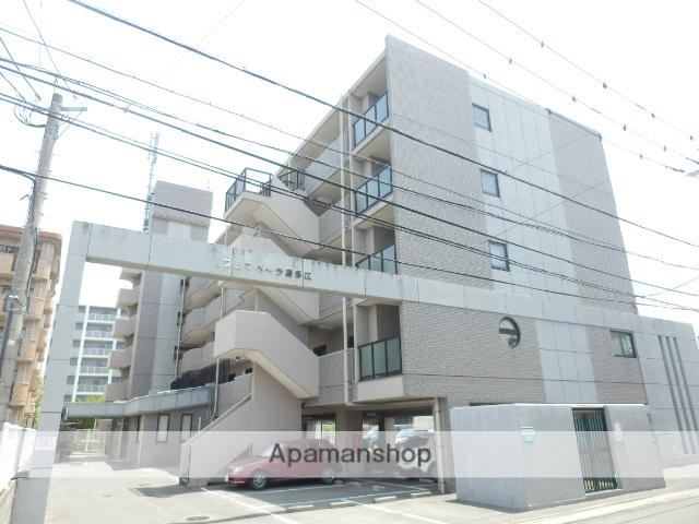 プリマベーラ波多江