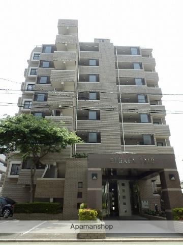エルガーラ入江