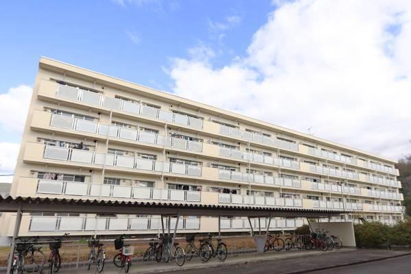 ビレッジハウス落合川1号棟(3DK/2階)