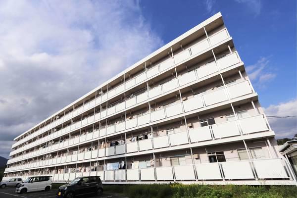 ビレッジハウス常磐1号棟(3DK/5階)