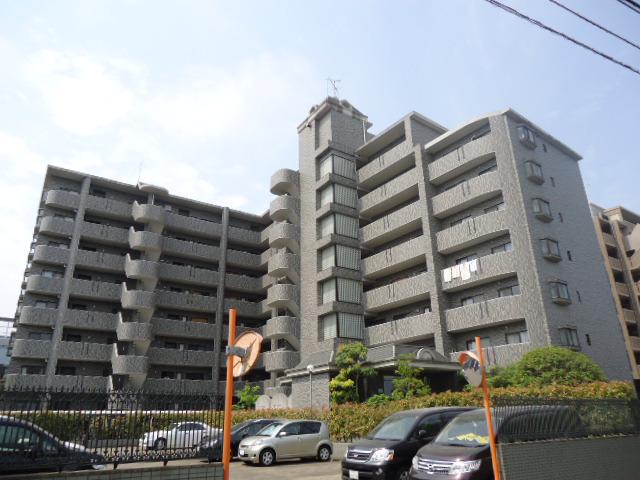 パディフィールドM