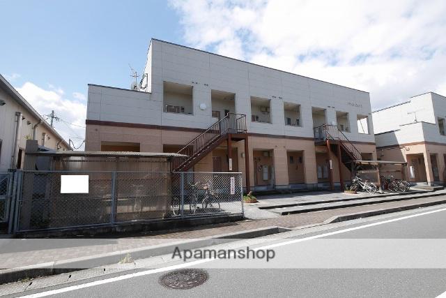 レディス・ピュア