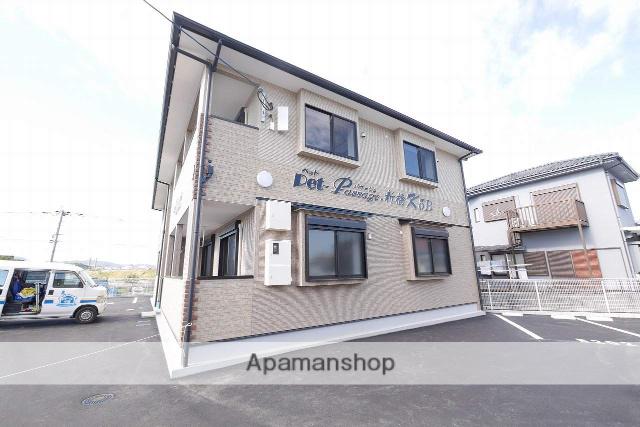 ペットパサージュ新橋K5 B