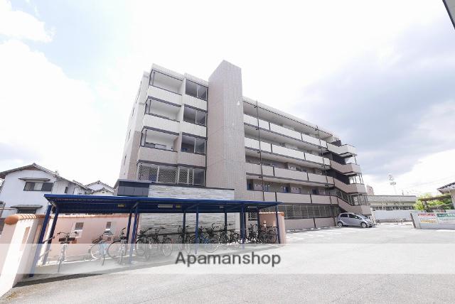 イ・カーサ・MS