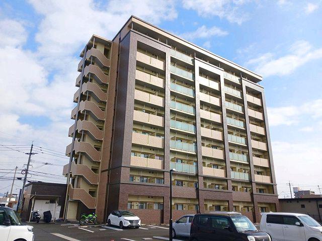 エヴァーグリーンO