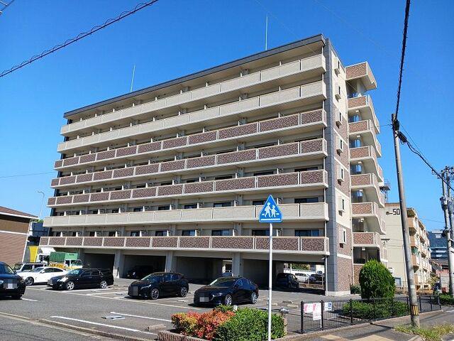 エヴァーグリーンN