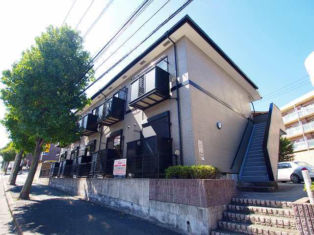 ステラ上の原Ⅱ