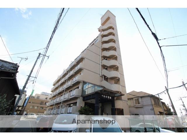 ベルガ菅原