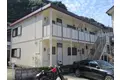 シティハイムカトレア