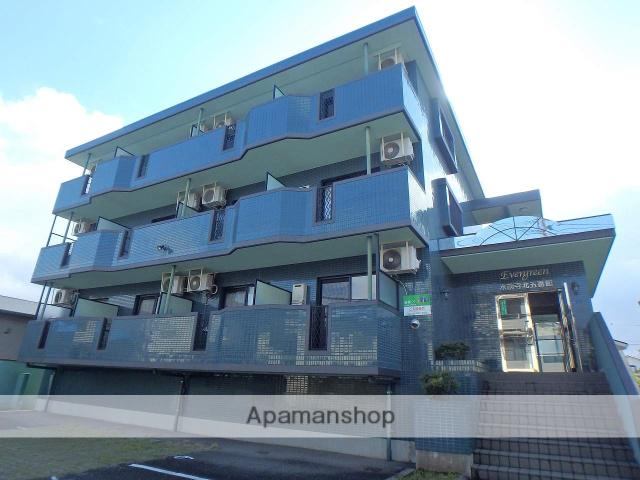 エヴァーグリーン水前寺北五番館(ワンルーム/1階)