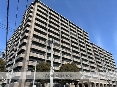 サーパスシティ熊本Ⅱ(3LDK/8階)