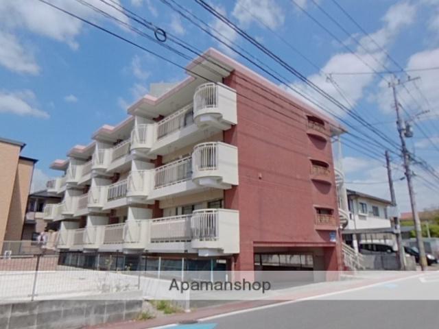 エクセルハイツ帯山(2DK/2階)