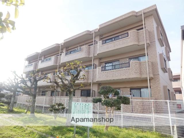 ホワイトアルバム